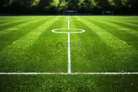 揭秘迪尼新,哈兰德饮食,风潮或将兴,神殿娱乐,神殿娱乐官网,中国神殿娱乐,神殿娱乐入口