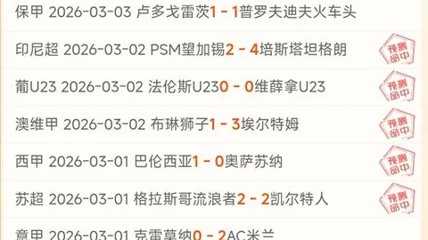 小孔塞桑：球队遭遇困境是常态，葡萄牙力夺半决赛胜利